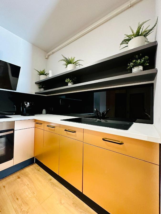 Kharisma Apartment-Free Parking-Ultracentral 클루지나포카 외부 사진