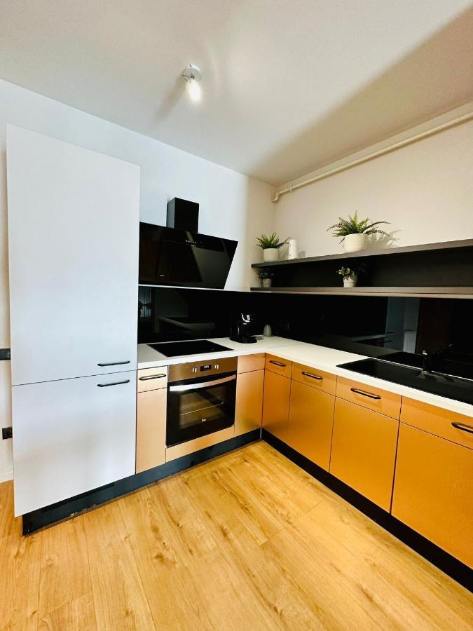 Kharisma Apartment-Free Parking-Ultracentral 클루지나포카 외부 사진